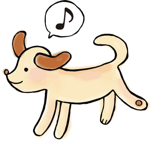 散歩が“最強の運動”な理由 🚶♂️🌿