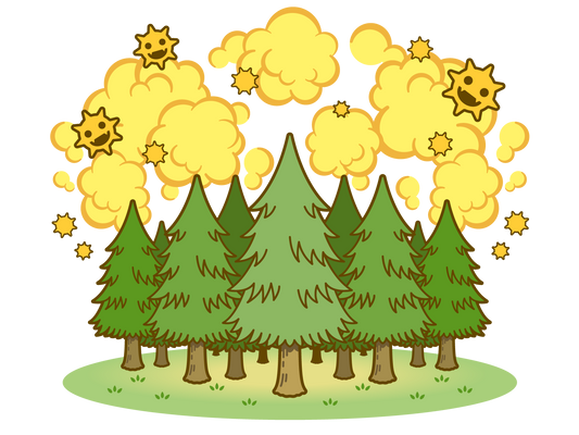 花粉前の体の変化（実は1月末〜2月） 🌲