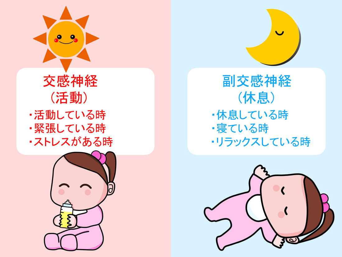 【なんとなく不調…それ、自律神経かも？】今日からできる3つの整え習慣