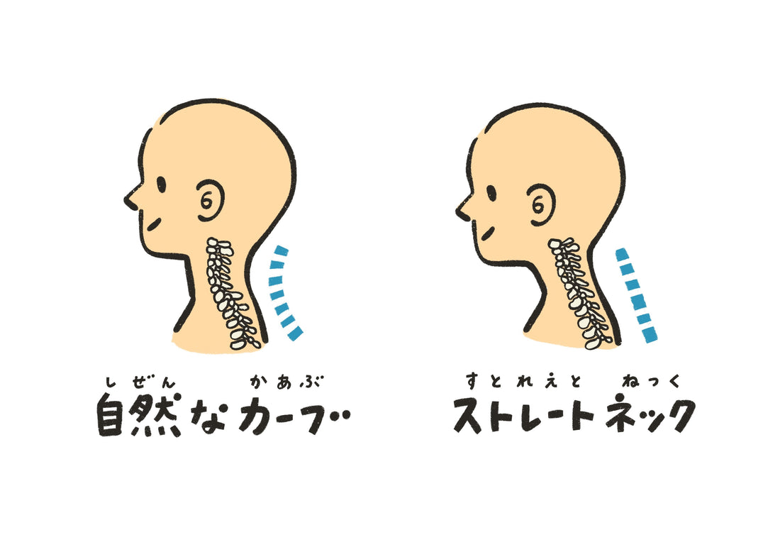 自然な頸椎カーブとストレートネックの首の骨の並びを比較したイラスト