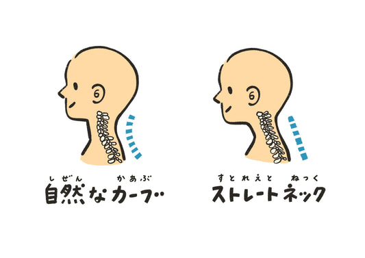 自然な頸椎カーブとストレートネックの首の骨の並びを比較したイラスト