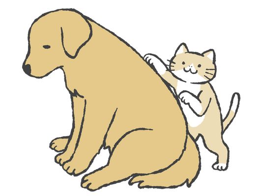 高齢犬のマッサージと、飼い主の健康 🐶🌿