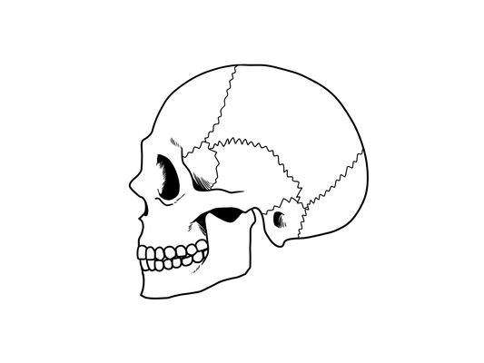 自律神経整体でやること。当院の施術について 🌿