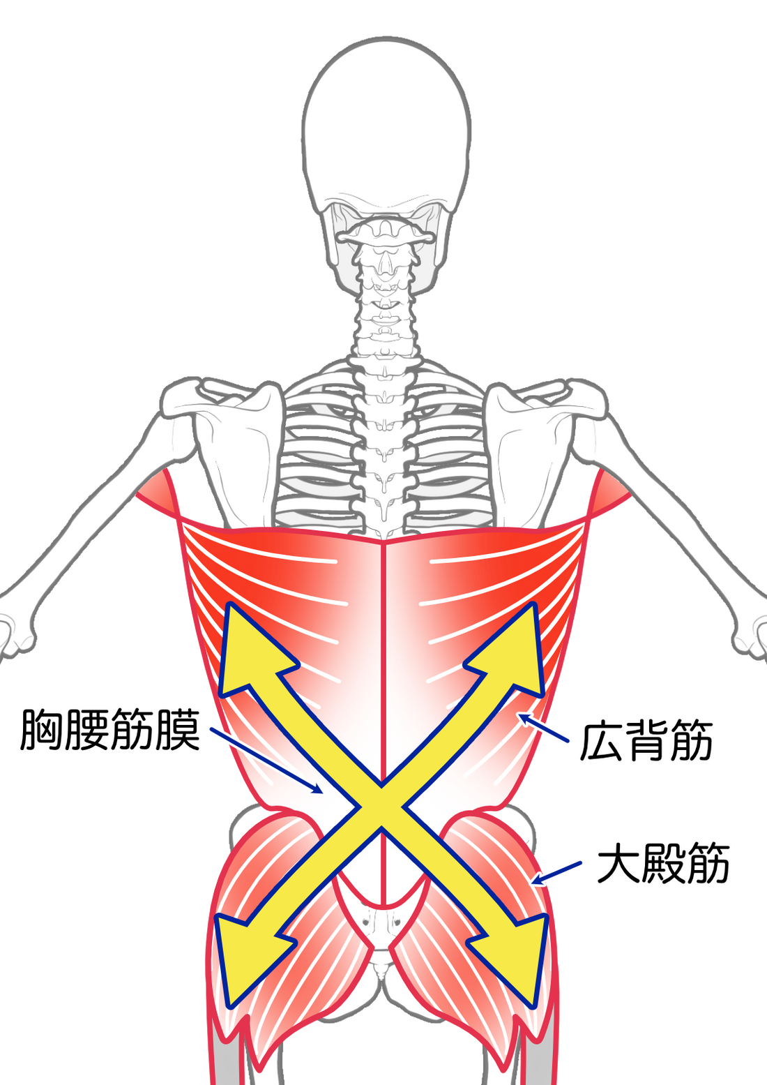 鍛える前に、つなげ直す