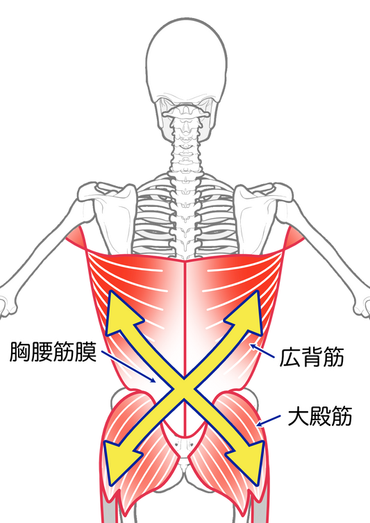 鍛える前に、つなげ直す