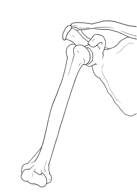 🌿 巻き肩はダメじゃない？