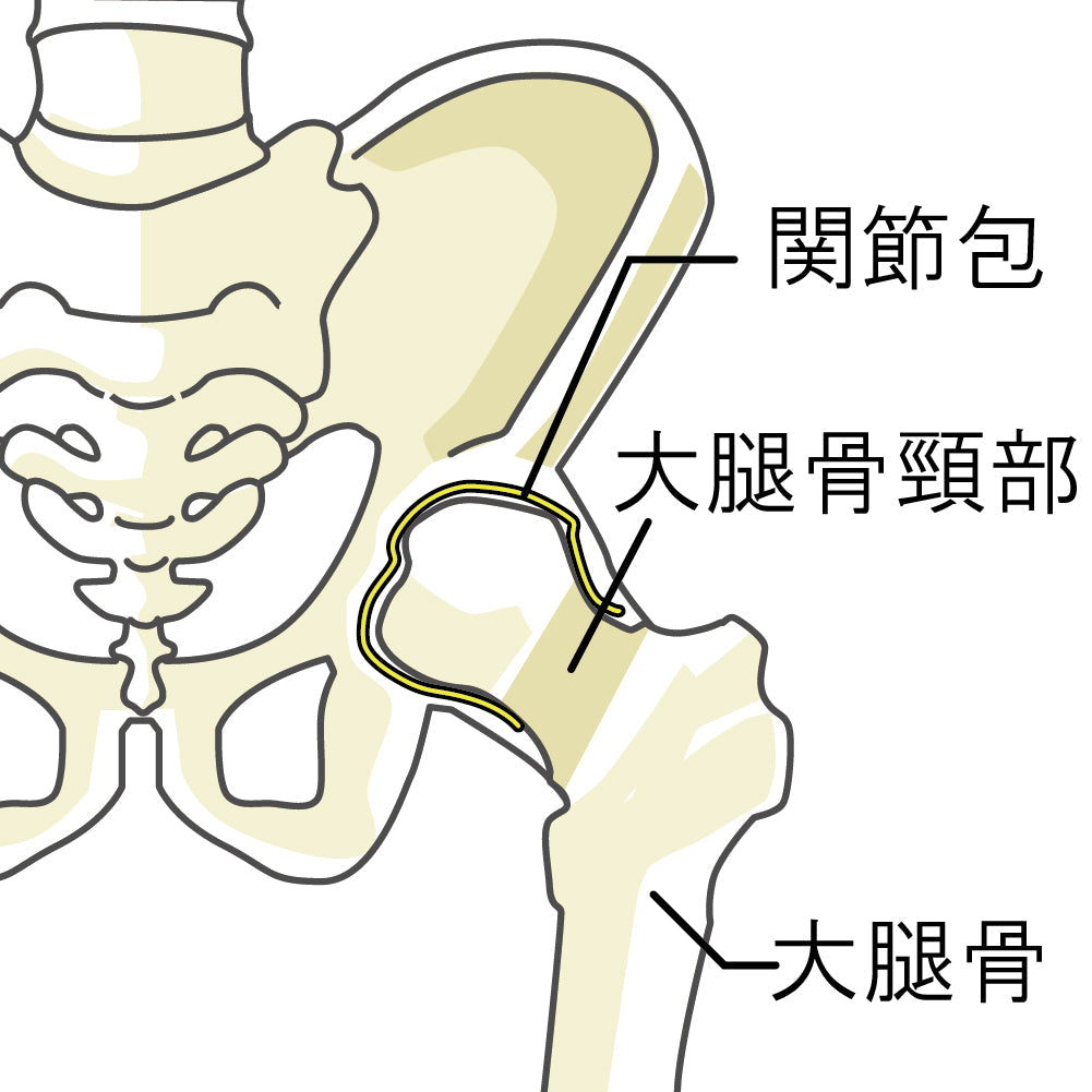 【その歩き方、大丈夫？】体を守る“いい歩き方”3つのポイント