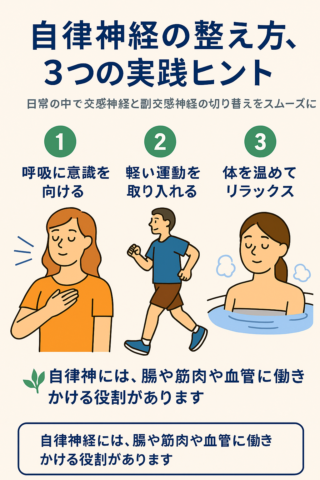 朝の光・呼吸・軽い運動で自律神経を整える3つのヒントを示したイラスト